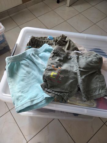 3 shorts taille 12 mois