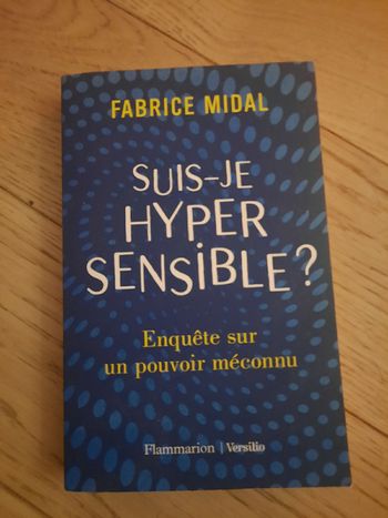 Livre SUIS JE HYPER SENSIBLE ? de  Fabrice Midal