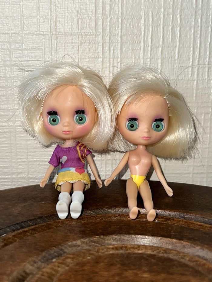 Poupée blythe Littlest petshop Hasbro 2010 - photo numéro 4