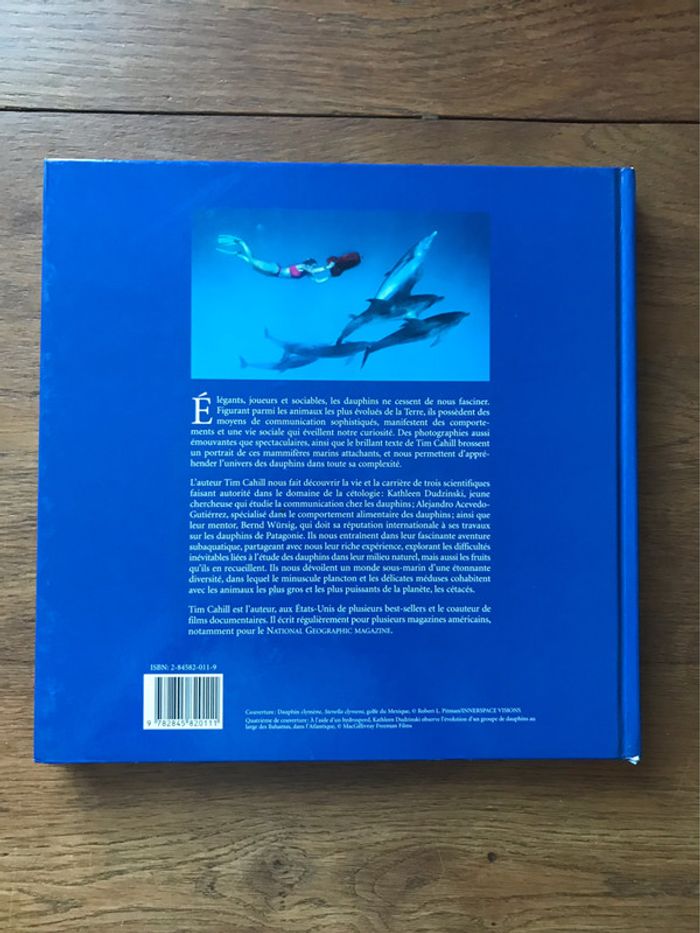 Dauphins - photo numéro 2