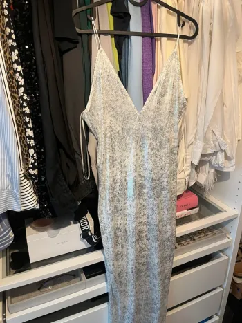 Robe argentée / blanche