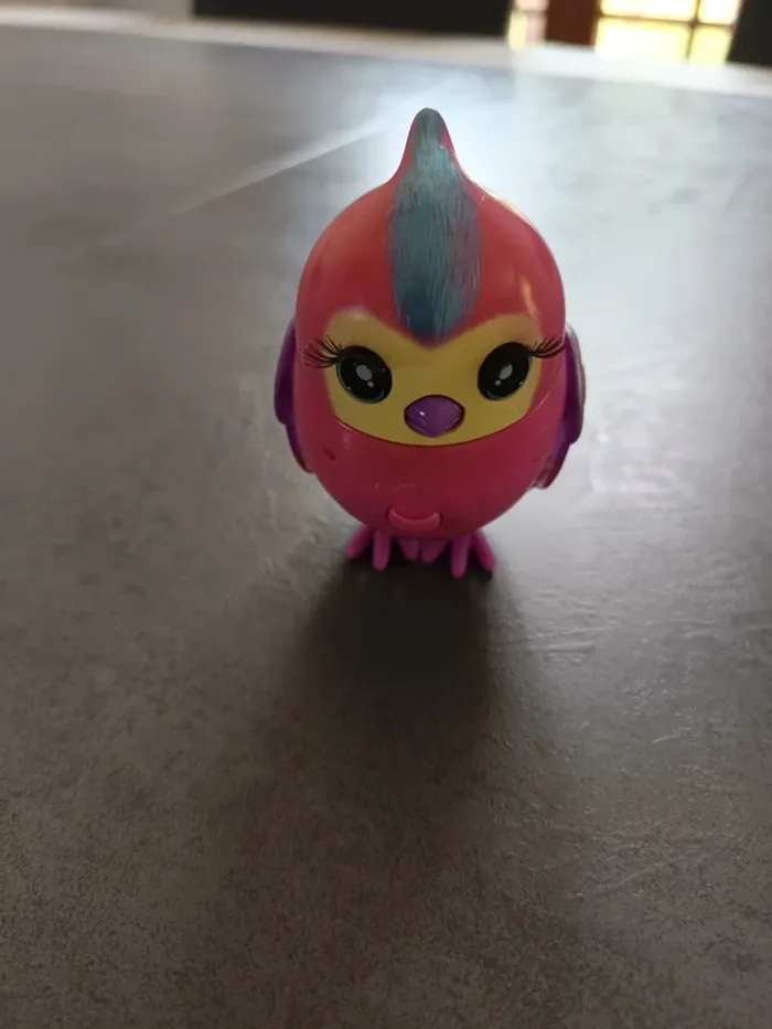 Vend oiseaux little live pet