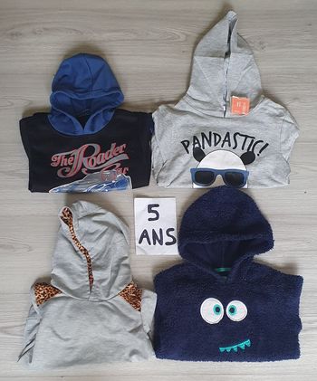 Lot de pull à Capuche 5ans garçon
