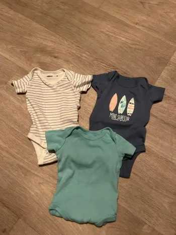 Lot 3 bodies