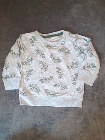 Pull - Caméléon