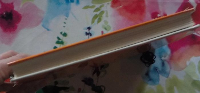 Poly au Portugal de Cécile Aubry Ed. France Loisirs - photo numéro 4