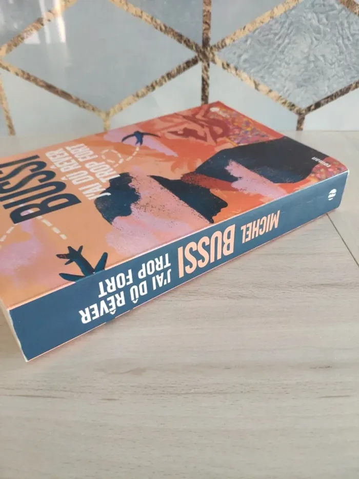 Livre grand format J'ai dû rêver trop fort Bussi - photo numéro 5