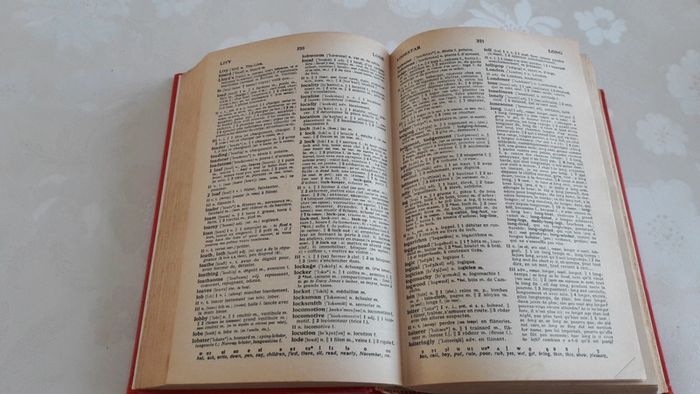 Dictionnaire Anglais-Français - photo numéro 5