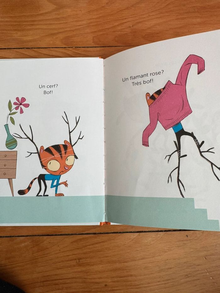 Timoto n’est pas un tigre - photo numéro 2