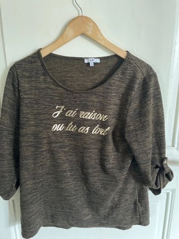 Pull zébrée humoristique L