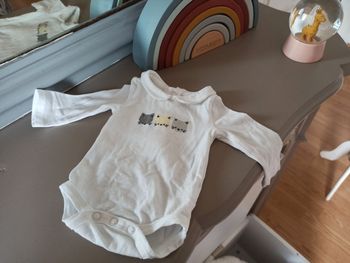 Body blanc chatons 1 mois OBAIBI