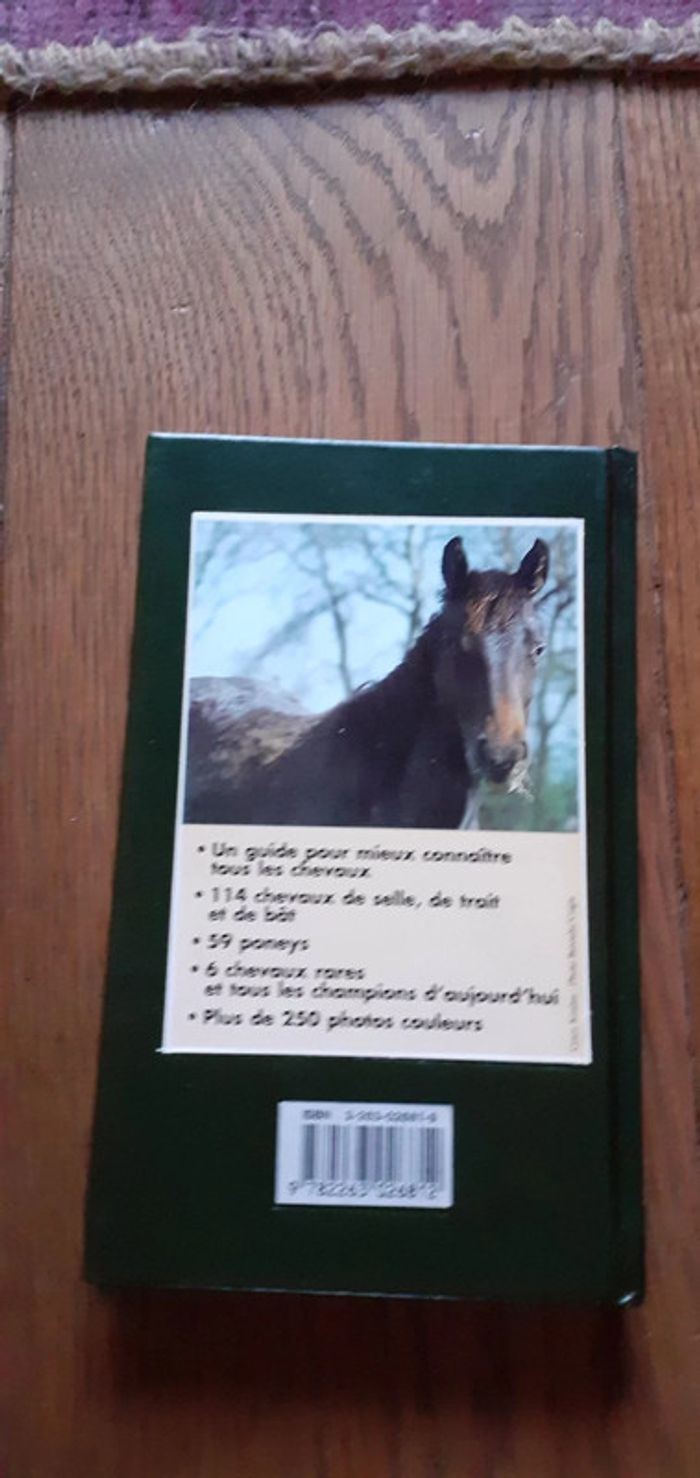 🐴 Les chevaux - photo numéro 2