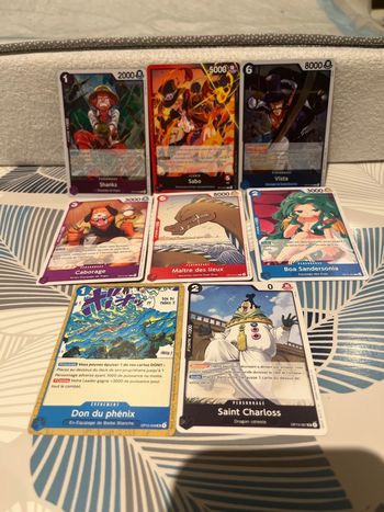 Album Panini Vierge One Piece – Le Nouveau Monde + 10 Pochettes De Cartes – Collection Manga