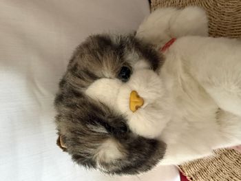 Peluche chat tigré gris , blanc  trudi