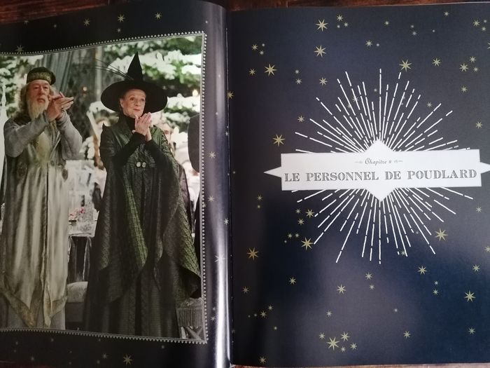 Livre la galerie des portraits. Sorciers, Moldus et autres Cracmols Harry Potter - photo numéro 4