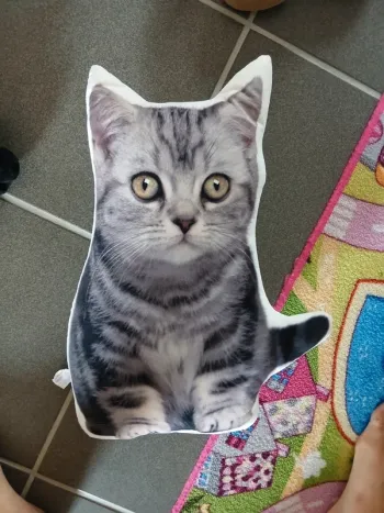 Coussin chat