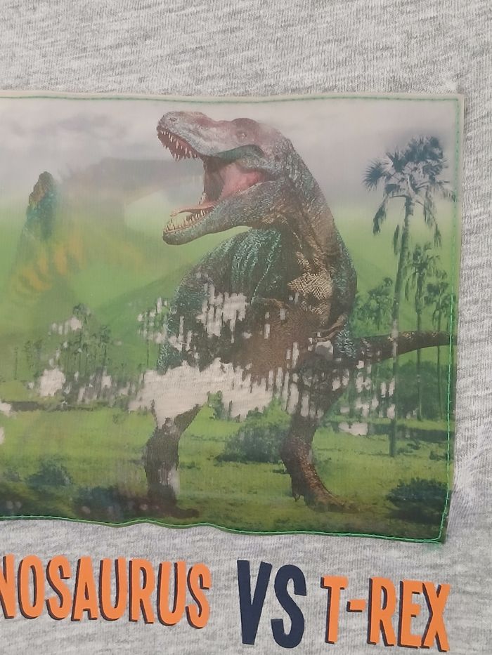 Tee-shirt Dinosaures Taille 3 ans - photo numéro 4