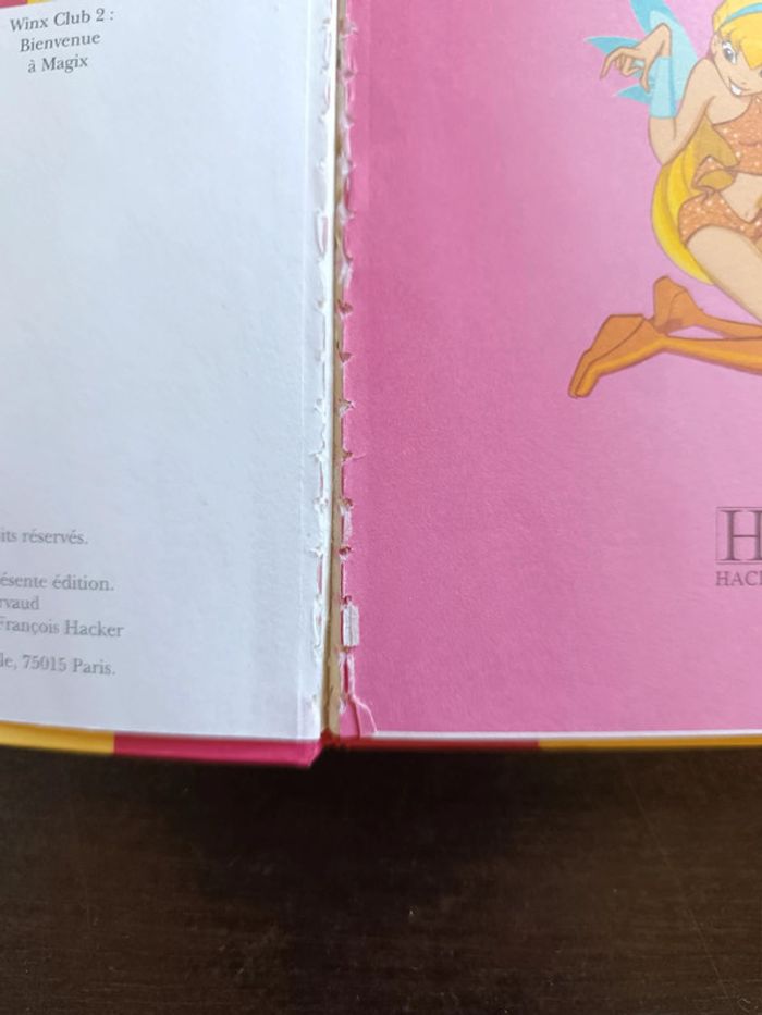 Livre WINX CLUB: BIENVENUE À MAGIX - photo numéro 8