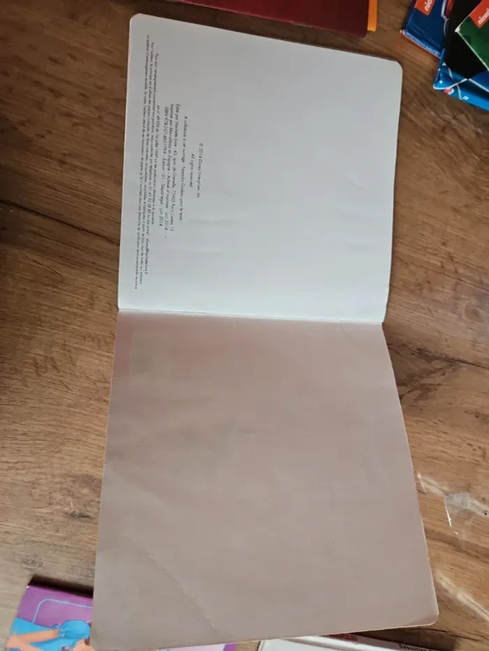 Livre disney Plane 2 - photo numéro 3