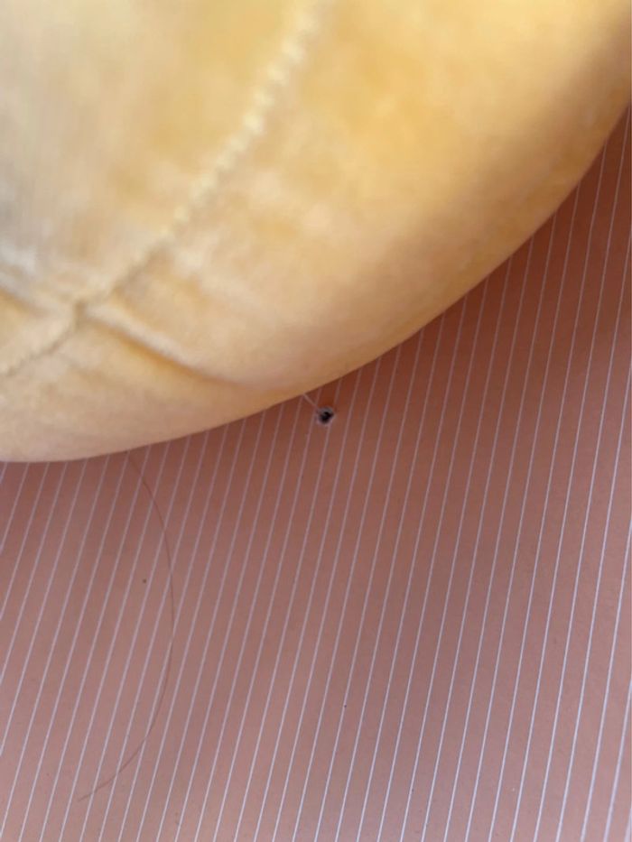 Ma boîte à musique Doudou et compagnie Ponpon le Bourdon - photo numéro 9