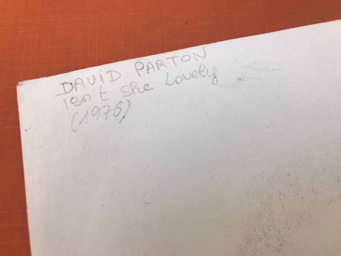 Vinyle 45 tours David Parton Isn't she lovely (1976) Pye Records PY 140190 - photo numéro 2