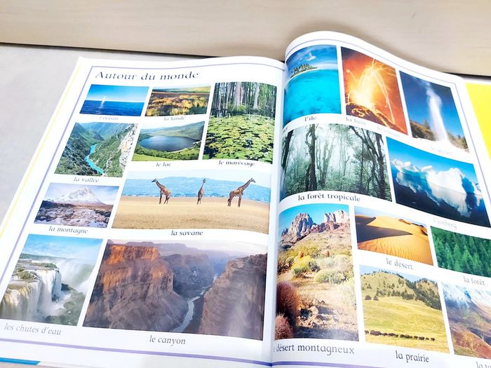 🌺 Livre GRUND : Mon premier livre des mots nouvelle édition plus de 1000 mots - photo numéro 8