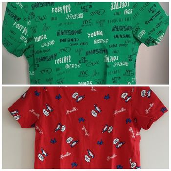 Lot de deux tee-shirts garçon