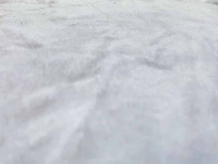 Couverture Tom & Jerry - photo numéro 5