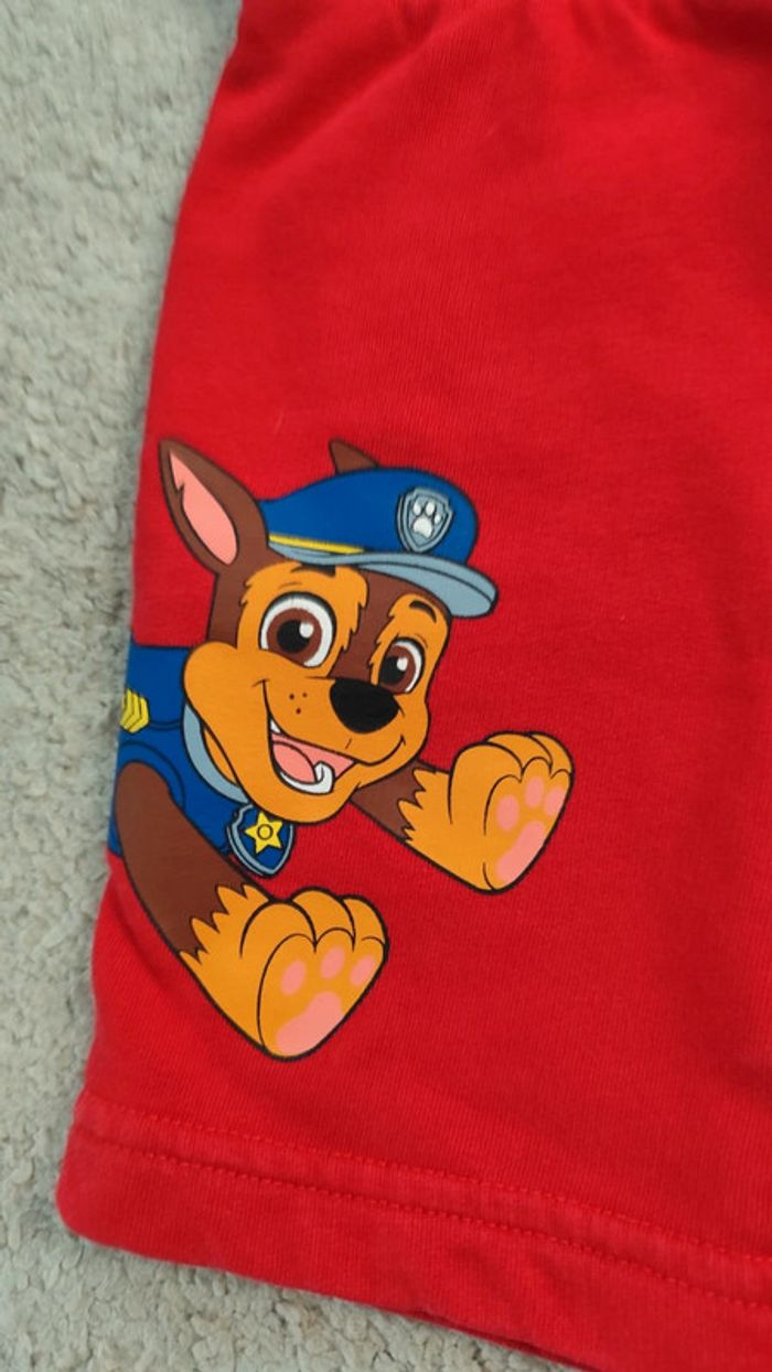 Short paw patrol - photo numéro 4
