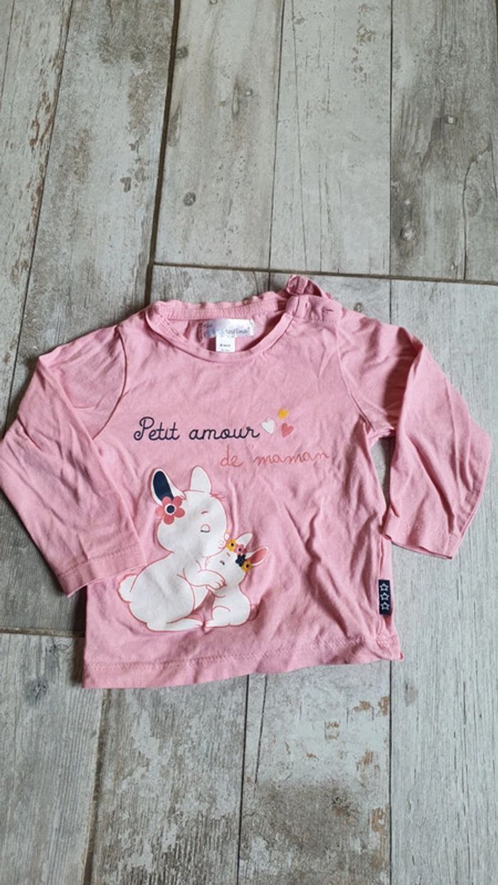 T-shirt mes petits Cailloux 18 mois en très bon état
