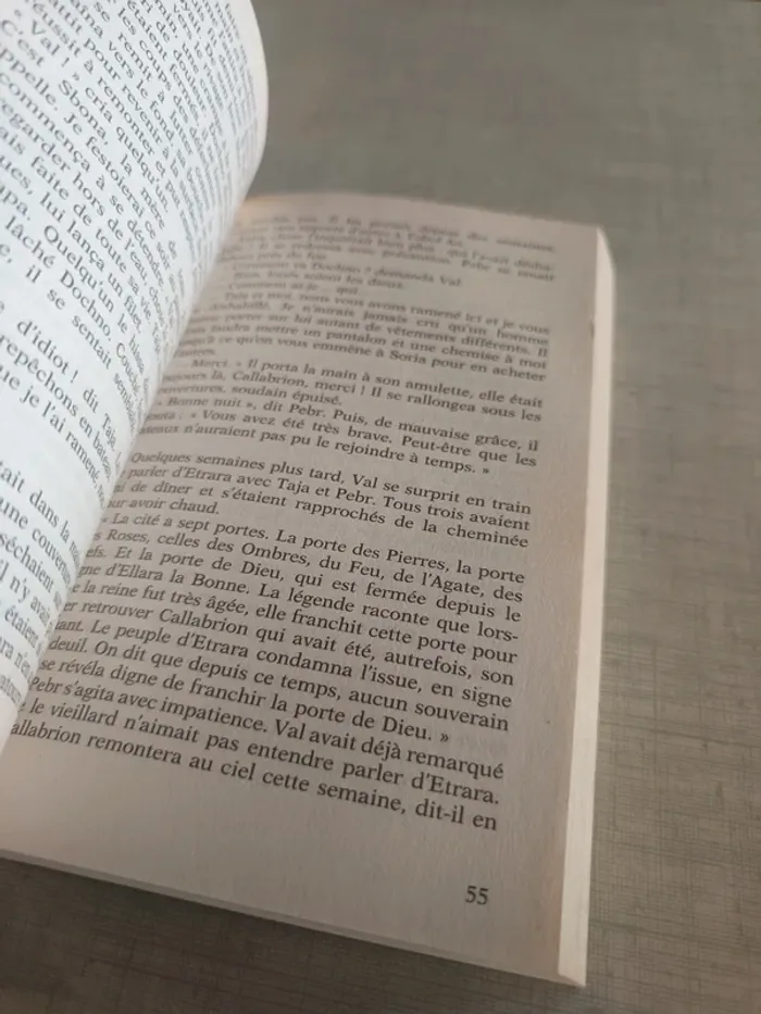 Livre roi de l'été fou de l'hiver - photo numéro 4