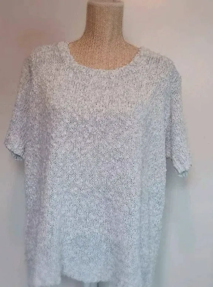 Pull  -  Manches  courtes - La halle -  48/50