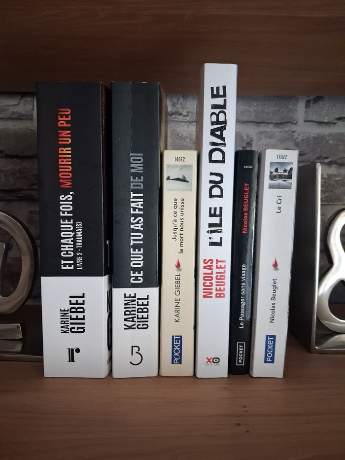 6 romans de Karine Giebel et Nicolas Beuglet - photo numéro 3