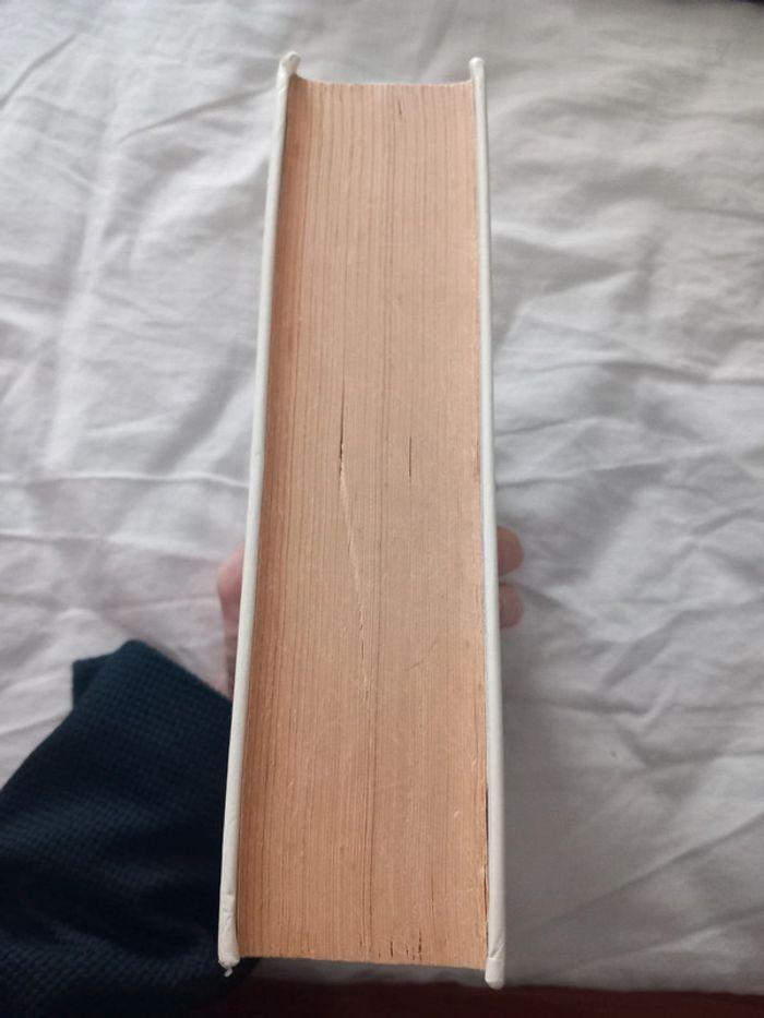 Larousse dictionnaire du français au collège - photo numéro 4