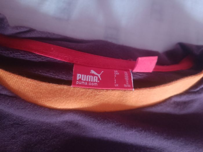 Pull puma - photo numéro 3