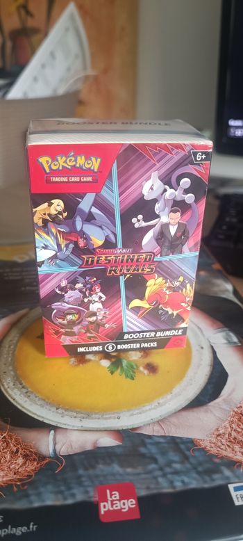 Pokémon destined rivals 