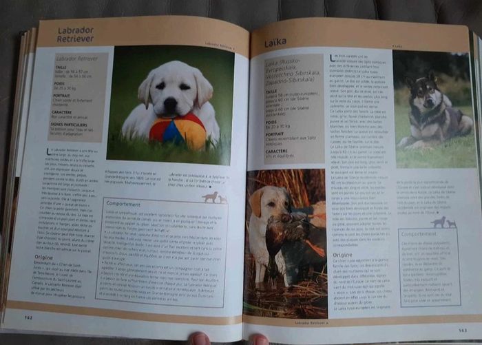 Larousse du chien - photo numéro 3