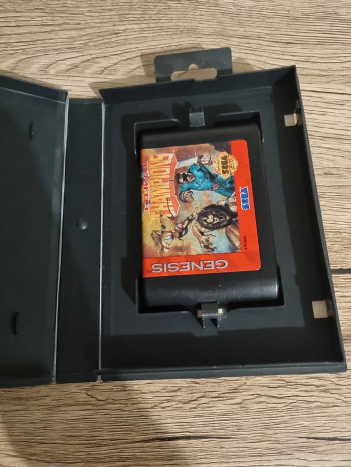 Eternal champions sega Genesis - photo numéro 5