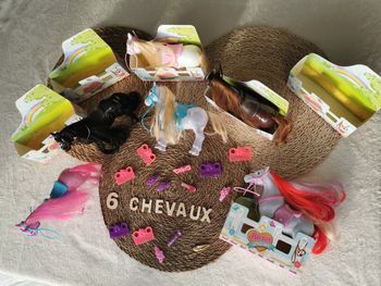 6 chevaux à coiffer avec peignes et pinces