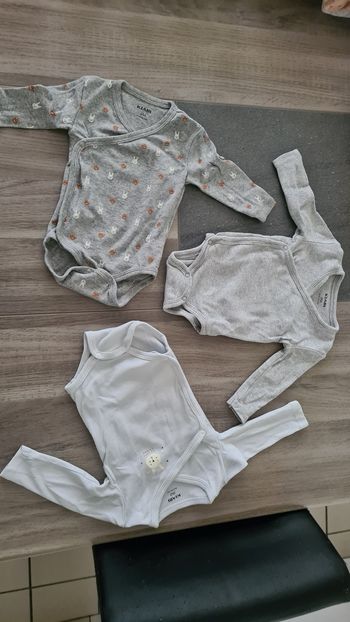 Bodies