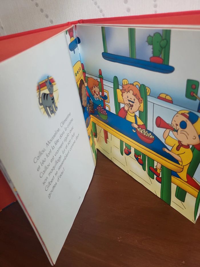 Livre caillou - photo numéro 2