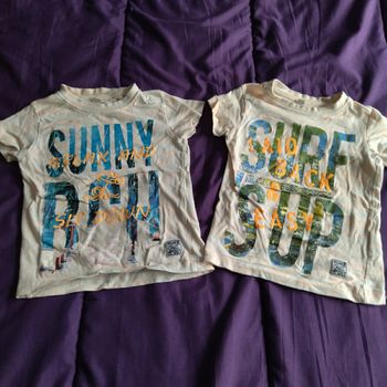 Lot de 2 t-shirts manches courtes