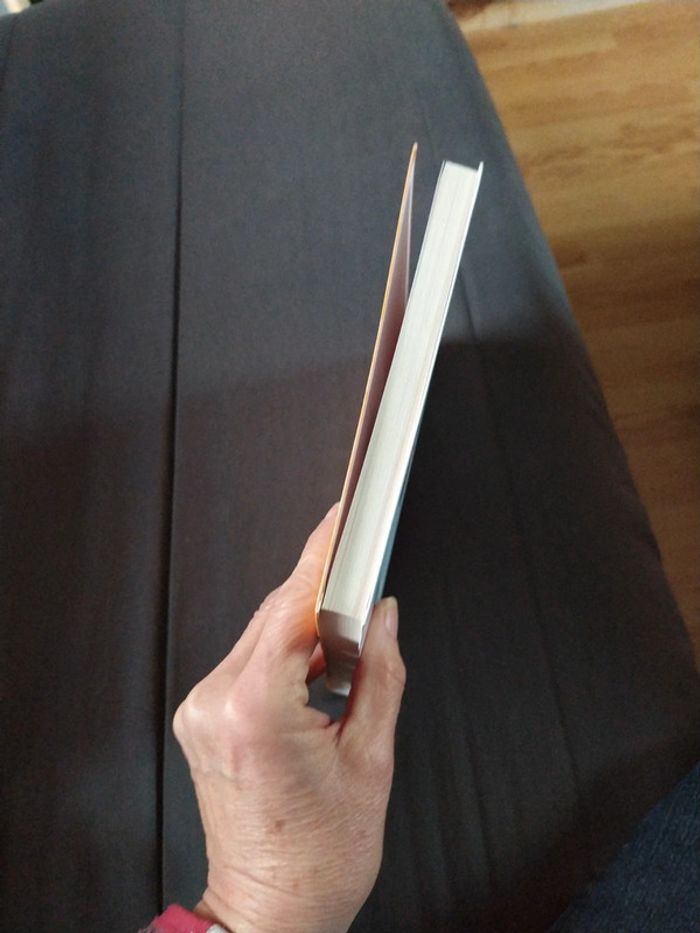 Le Mas des Dames d'Alice Dona - photo numéro 5