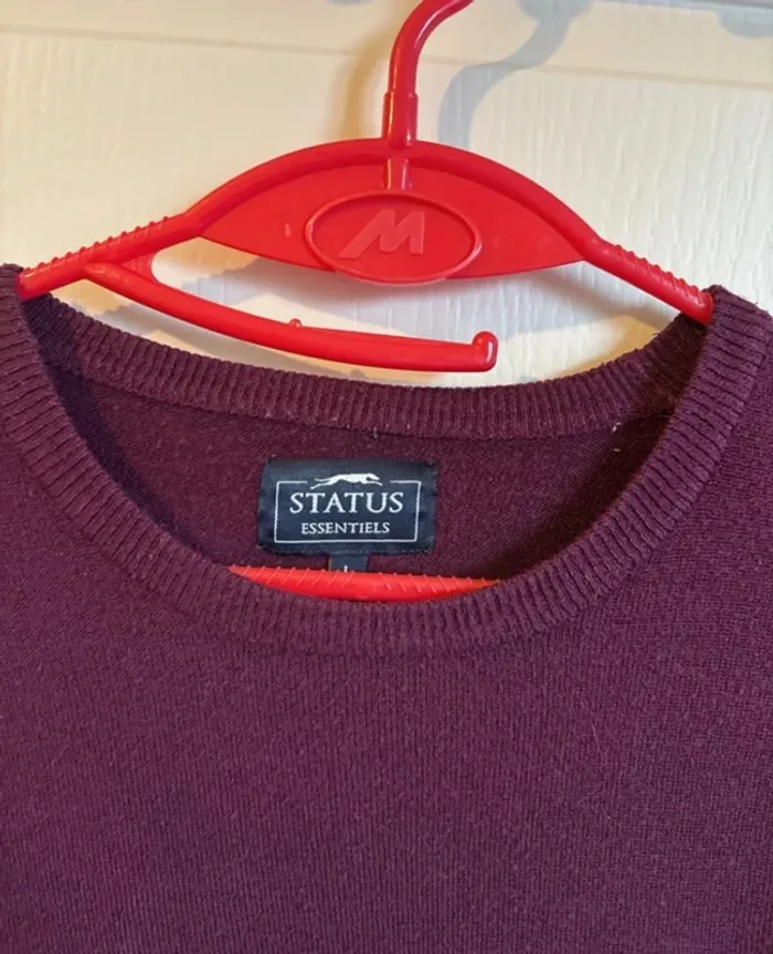 Pull Status taille L - photo numéro 2