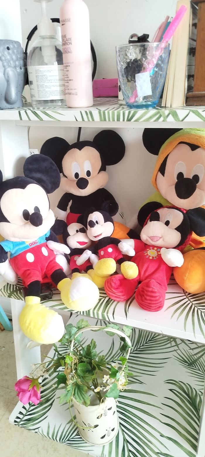 Peluche Disney - photo numéro 2