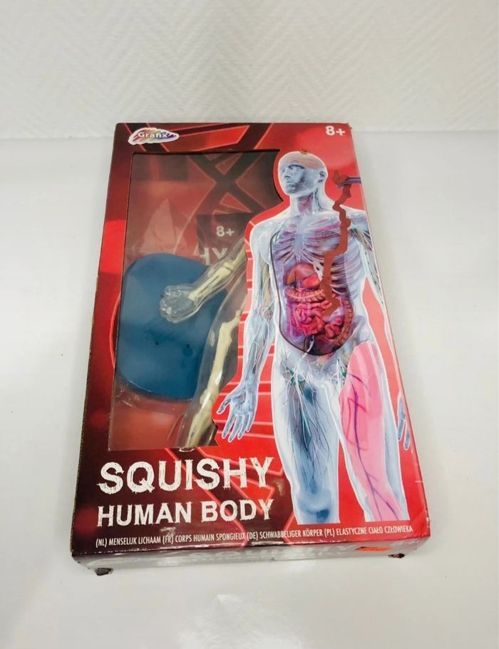 Squishy Human Body - Squelette humain - photo numéro 4