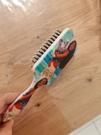 Brosse vaiana neuf