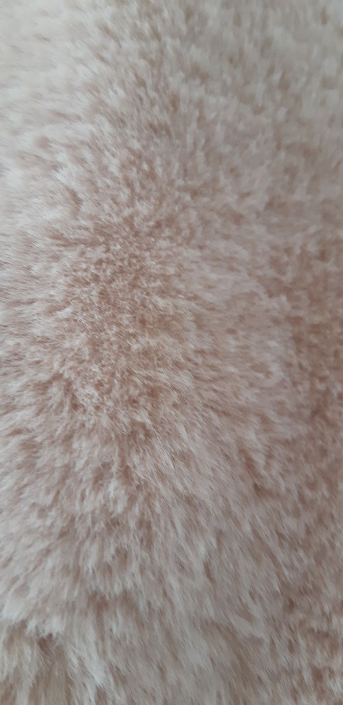 Manteau - photo numéro 4