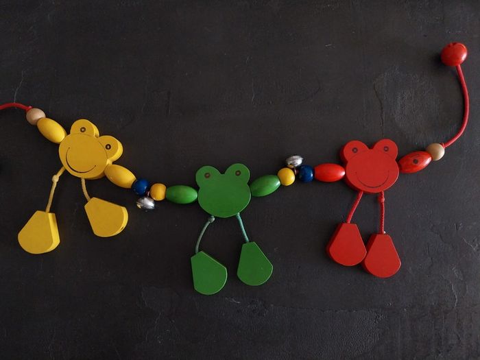 Grenouille - photo numéro 3