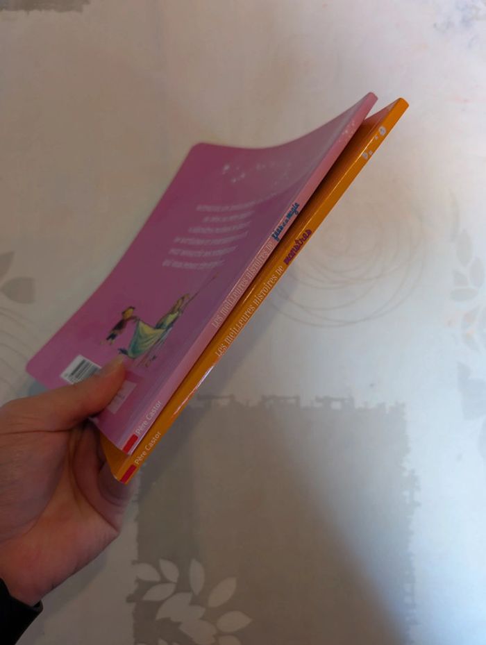 Lot Père castor - photo numéro 13